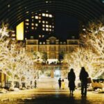 Christmas Tree Sale - Find Your Perfect Centerpiece