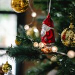 Find the Perfect Christmas Tree for Sale